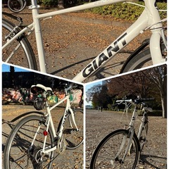 【王道クロスバイク】GIANT ESCAPE R3 Mサイズ 24速（2020年式/クロモリフォーク）の画像