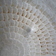 美々卯　「特性うどんすき鍋」の画像