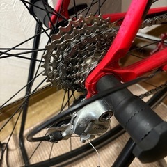 リドレーコンパクトの画像