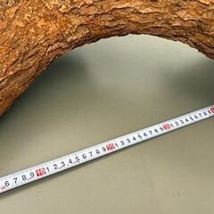 断捨離中！「楠木」の画像