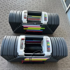 可変式ダンベル 最大40.8kgx2個 パワーブロック セット 40kgの画像