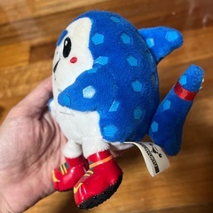 ジンベーニョ　ぬいぐるみの画像