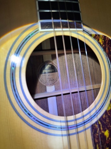 ギター　MORRIS MD-401