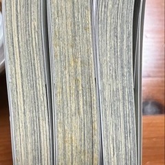 【3冊セット・初版本】文豪ストレイドッグス 11〜13巻の画像