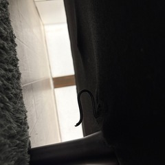 値下げ可2-3用ソファーの画像