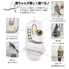新品！鳥かご、ヒーター、餌、ウォータータンクの画像