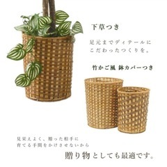 フェイクグリーン　観葉植物　130cmの画像