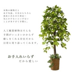 フェイクグリーン　観葉植物　130cmの画像