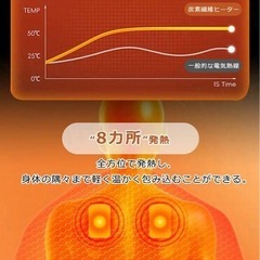 【新品】電気毛布 掛け敷き兼用 着る毛布 電熱ブランケット 洗える ひざ掛け ファスナーの画像