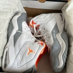 エアージョーダンB'LOYAL "WhiteOrange Wolf Grey 26.5センチの画像