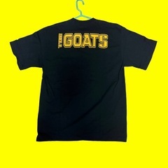 THE GOATS ジョーダン コービー Tシャツ スカルデザイン メンズL の画像