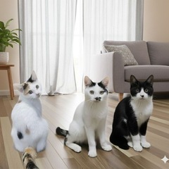 3にゃん兄弟はいかが？