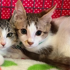 駅の駐輪場でウロウロ