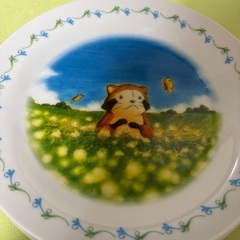 アライグマ　ラスカル　お皿　5枚の画像