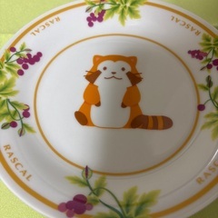 アライグマ　ラスカル　お皿　5枚の画像