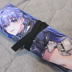 Fate メルトリリス　ロールペンケース　新品未開封　在庫数量あり　ご希望の枚数をお譲りできますの画像