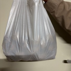 【限定20袋】特売　小玉サイズ　キウイの画像