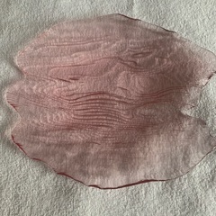 ガラスの紅白プレートの画像