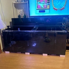 アクリル水槽セット120cmの画像