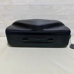 LAT56°高級ガーメントバッグ Red-Eye garment bagRE01の画像