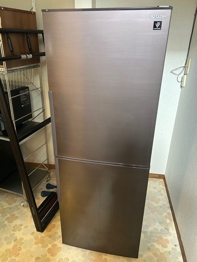 シャープ プラズマクラスター機能付き　2021年製　2ドア冷蔵庫