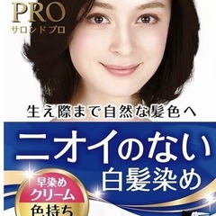 2箱　 サロンドプロ　白髪染めの画像