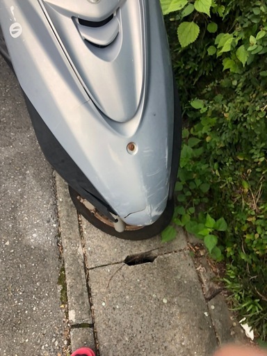 もらって下さい