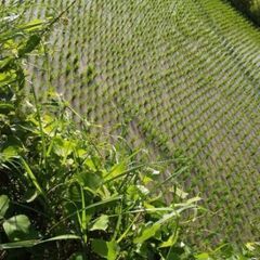 令和7年度　新米　ヒノヒカリ　玄米　15kg　発送も出来ます(⁠◍⁠•⁠ᴗ⁠•⁠◍⁠)の画像