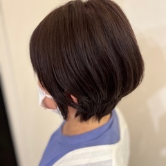 11月27日限定カットモデルの画像