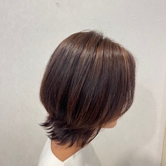 11月27日限定カットモデルの画像