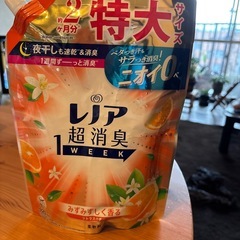 洗剤＆ヘアケア色々の画像