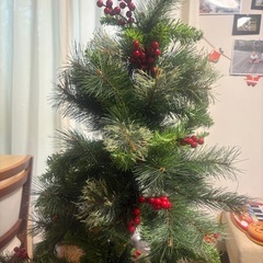 クリスマスツリーの画像
