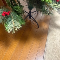 クリスマスツリーの画像