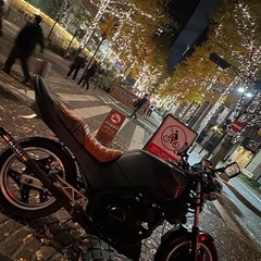 vt250fe 三段シート