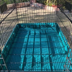 大型犬用キャリー PET'S CREWの画像