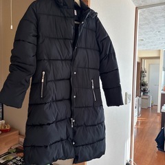 ダウンジャケット　　ロングの画像