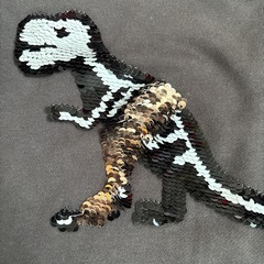 恐竜　スパンコール　トレーナー　120の画像