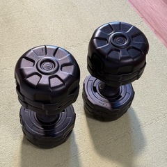 鉄アレー(ダンベル) 10kgの画像