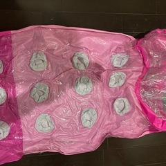 プールor海　エアーベッドタイプ　浮輪の画像