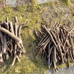 12/4（木）まで＊【薪ストーブに！】木材差し上げますの画像