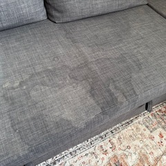 【シミあり】FRIHETEN フリーヘーテンの画像