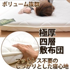 TEIJINの敷布団セミダブルの画像