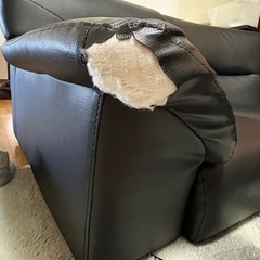 ローソファの画像