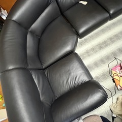 ローソファの画像