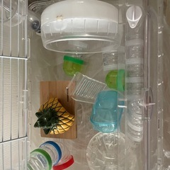 ハムスターセット一式の画像