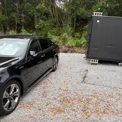 ✴︎クラウンアスリート✴︎210✴︎220使用❣️販売&リース❣️の画像