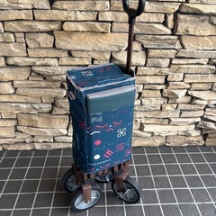 キャリー ワゴン アウトドア コンパクト 耐荷重100kg 25K 北TO3の画像
