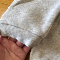 プティマイン　セットアップの画像