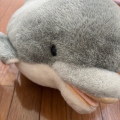 11\29日までの投稿です。イルカのぬいぐるみの画像