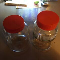 大瓶　梅酒漬け等の画像